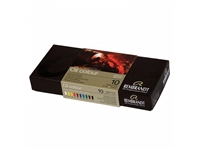 Een Rembrandt olieverf 10 tubes 15 ml set koop je bij Terpen Tijn