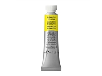 Een Aquarelverf Winsor & Newton Artists 5 ml 025 bismuth yellow koop je bij Terpen Tijn