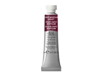 Een Aquarelverf Winsor & Newton Artists 5 ml 125 caput mortuum violet koop je bij Terpen Tijn