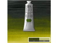 Een WINSOR & NEWTON ARTISTS ACRYLVERF 60ML 503 PERM SAP GREEN koop je bij Terpen Tijn