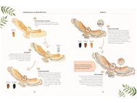 Een Vogels - Aquarelleren in 10 stappen Paperback, 128 pagina's koop je bij Terpen Tijn