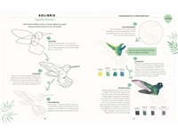 Een Vogels - Aquarelleren in 10 stappen Paperback, 128 pagina's koop je bij Terpen Tijn