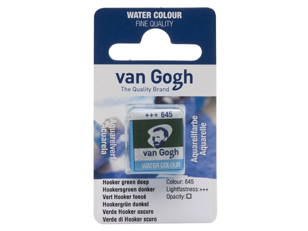 Een Aquarelverf Van Gogh half 645 hookersgroen donker koop je bij Terpen Tijn