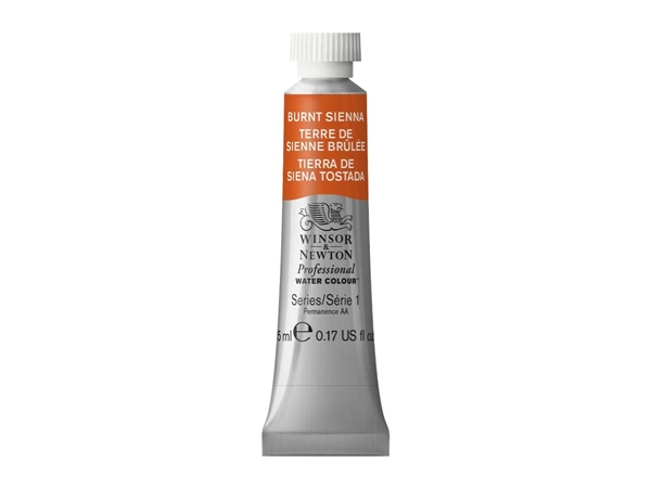 Een Aquarelverf Winsor & Newton Artists 5 ml 074 burnt sienna koop je bij Terpen Tijn