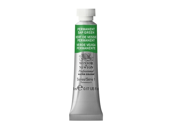 Een Aquarelverf Winsor & Newton Artists 5 ml 503 permanent sap green koop je bij Terpen Tijn