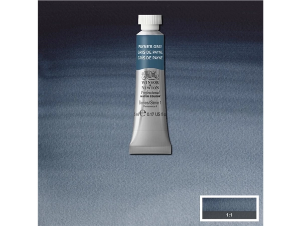 Een Aquarelverf Winsor & Newton Artists 5 ml 465 payne's grey koop je bij Terpen Tijn