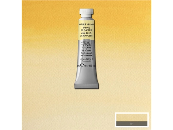 Een Aquarelverf Winsor & Newton Artists 5 ml 422 naples yellow koop je bij Terpen Tijn