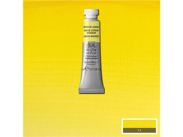 Een Aquarelverf Winsor & Newton Artists 5 ml 722 winsor lemon koop je bij Terpen Tijn