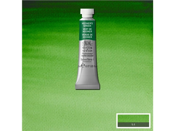 Een Aquarelverf Winsor & Newton Artists 5 ml 311 hookers green koop je bij Terpen Tijn