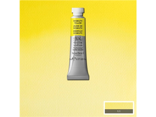 Een Aquarelverf Winsor & Newton Artists 5 ml 025 bismuth yellow koop je bij Terpen Tijn