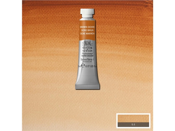 Een Aquarelverf Winsor & Newton Artists 5 ml 059 brown ochre koop je bij Terpen Tijn