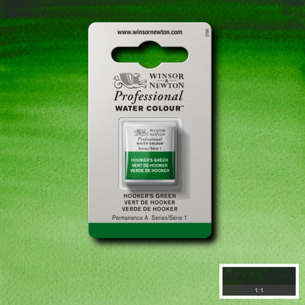 Een Aquarelverf Winsor & Newton Artists half 311 hookers green koop je bij Terpen Tijn