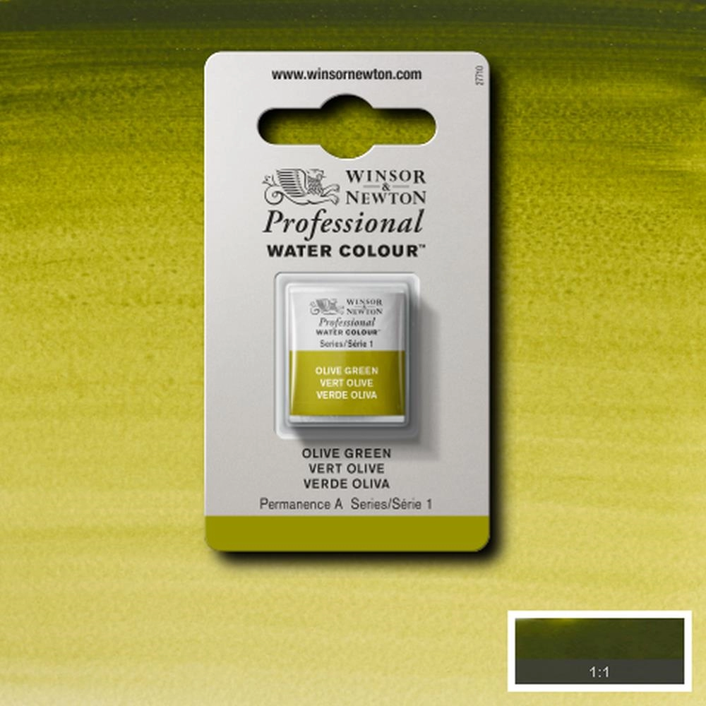 Een Aquarelverf Winsor & Newton Artists half 447 olive green koop je bij Terpen Tijn