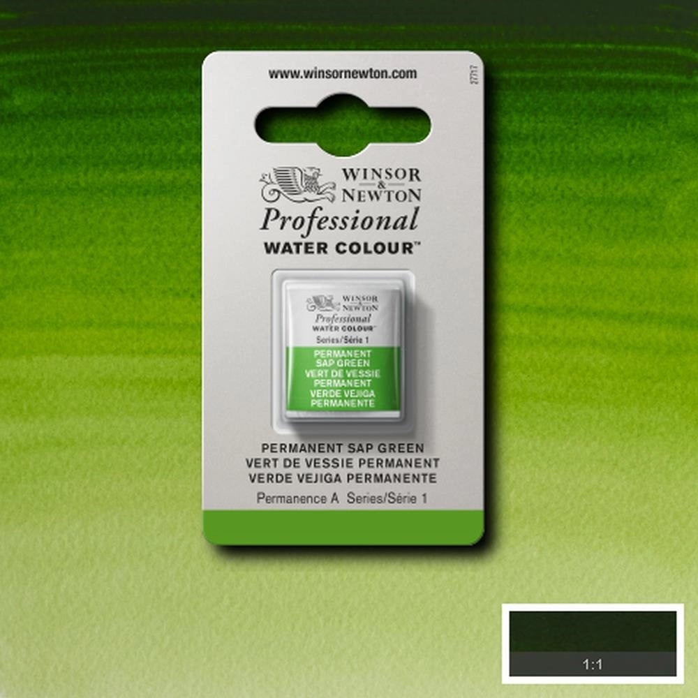 Een Aquarelverf Winsor & Newton Artists half 503 permanent sap green koop je bij Terpen Tijn