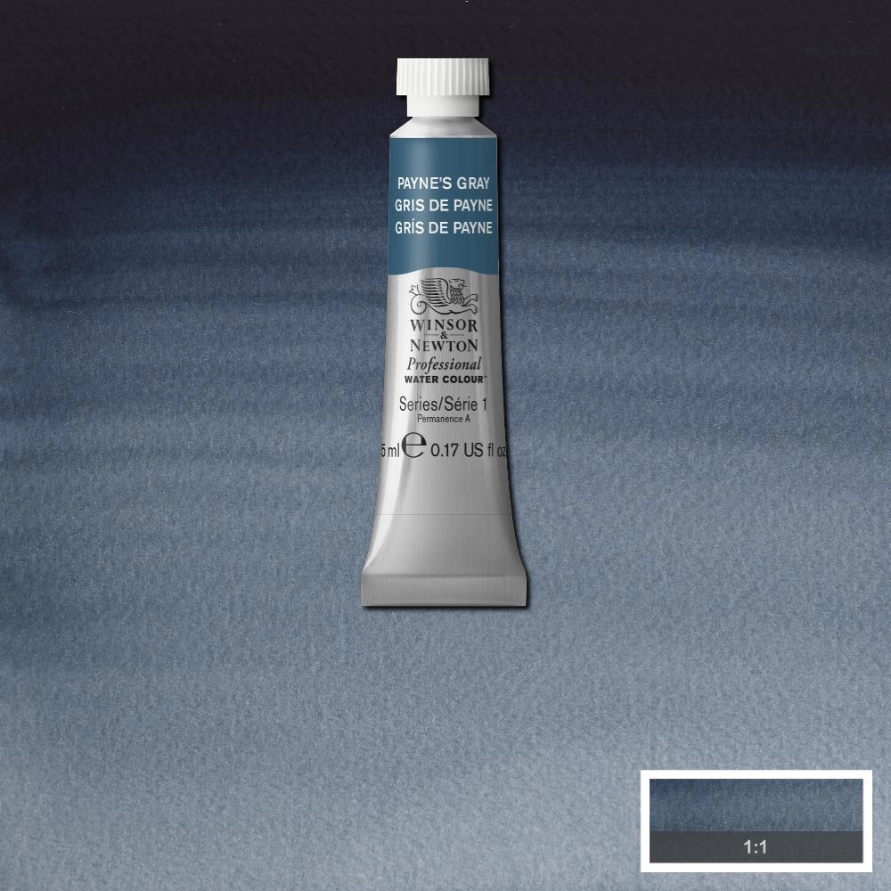 Een Aquarelverf Winsor & Newton Artists 5 ml 465 payne's grey koop je bij Terpen Tijn