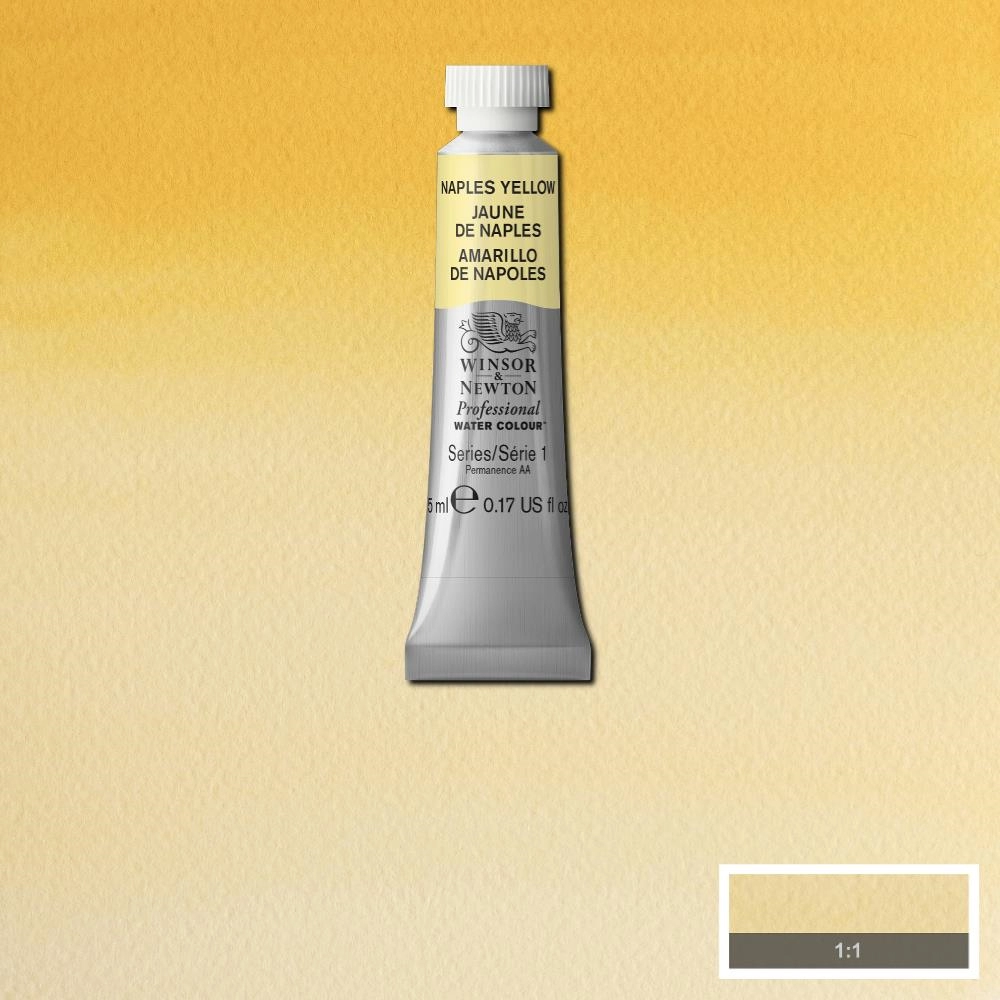 Een Aquarelverf Winsor & Newton Artists 5 ml 422 naples yellow koop je bij Terpen Tijn