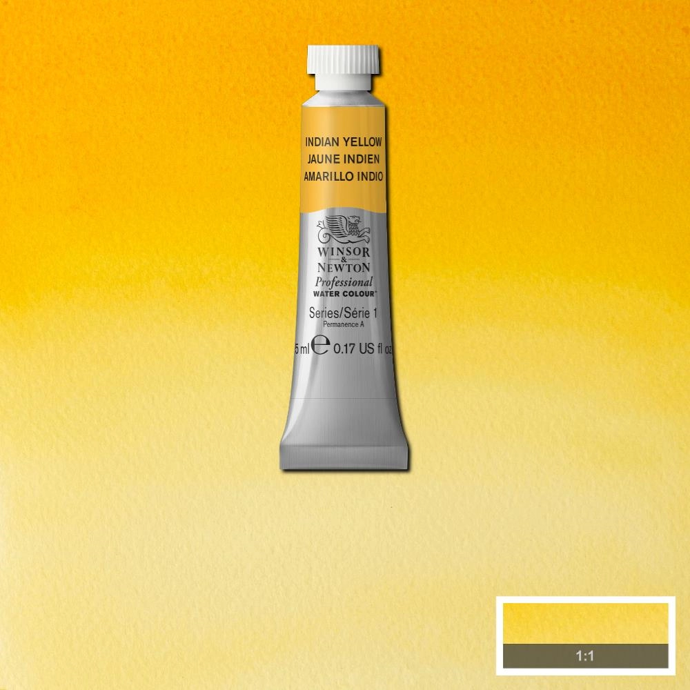 Een Aquarelverf Winsor & Newton Artists 5 ml 319 indian yellow koop je bij Terpen Tijn