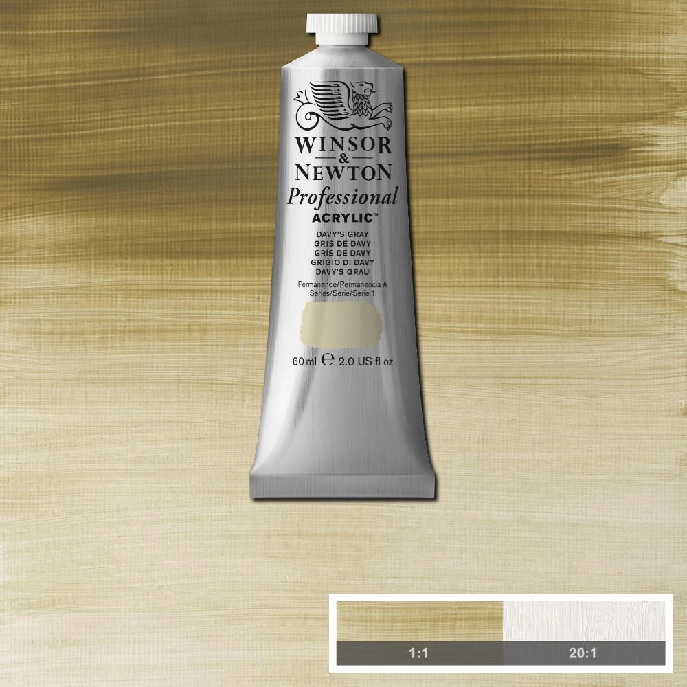 Een WINSOR & NEWTON ARTISTS ACRYLVERF 60ML 217 DAVY'S GRAY koop je bij Terpen Tijn