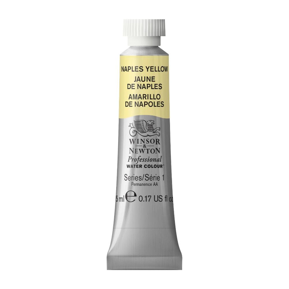 Een Aquarelverf Winsor & Newton Artists 5 ml 422 naples yellow koop je bij Terpen Tijn