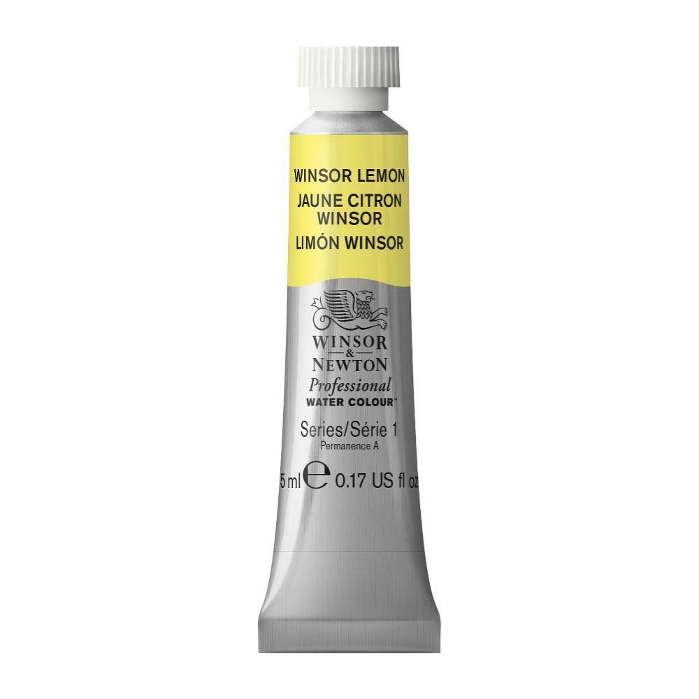 Een Aquarelverf Winsor & Newton Artists 5 ml 722 winsor lemon koop je bij Terpen Tijn